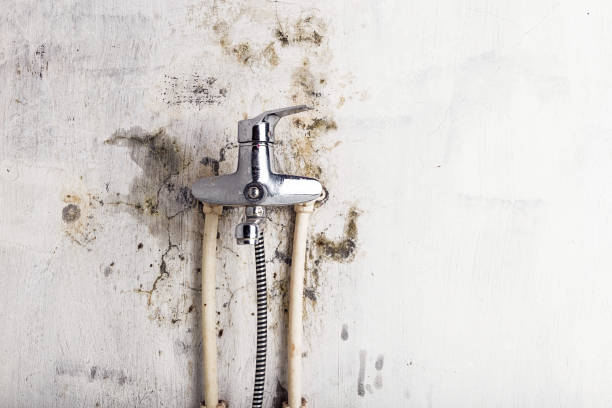 Mold Removal and Inspection in Rapids, NY