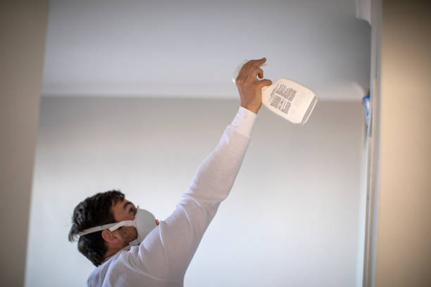 Best Attic Mold Removal  in Rapids, NY