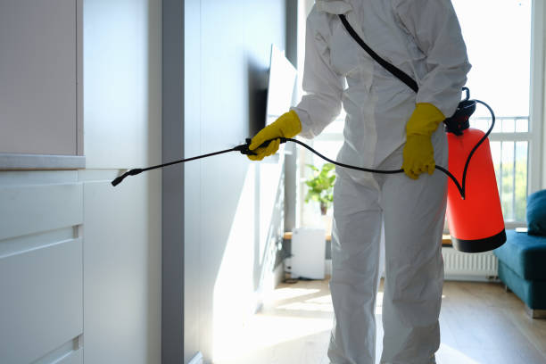 Best Mold Remediation  in Rapids, NY