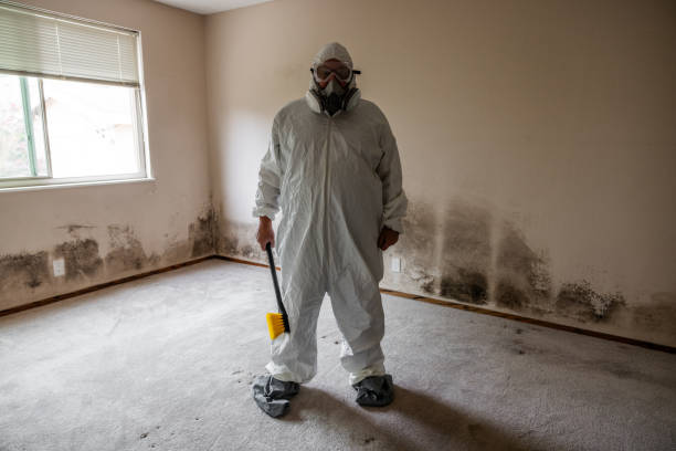 Best Mold Testing  in Rapids, NY